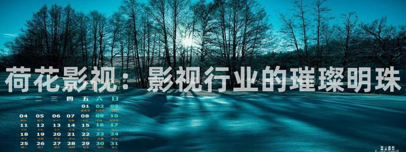 飘雪影院怎么下载高清：荷花影视：影视行业的璀璨明珠