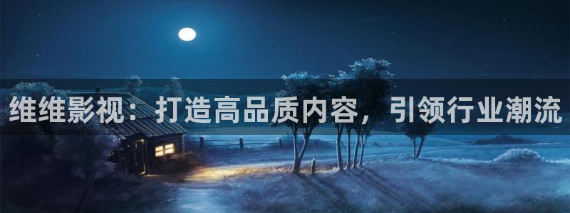 飘雪影院正版免费观看：维维影视：打造高品质内容，引领行业潮流