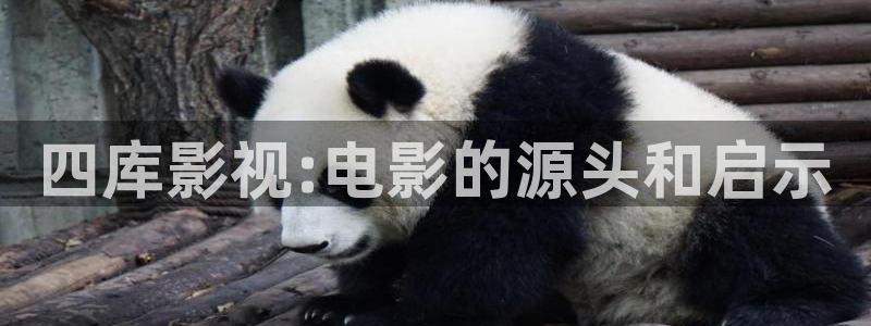 飘雪影院在线观看全集：四库影视:电影的源头和启示